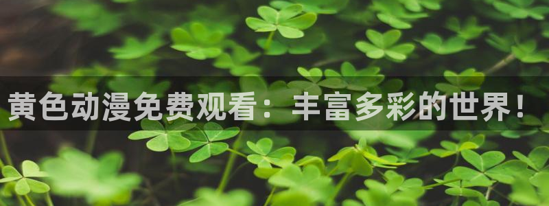 51动漫老版本的特点