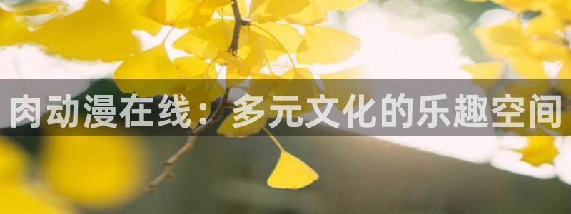 51动漫app官网进入