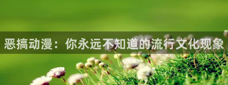 51动漫在线网站：恶搞动漫：你永远不知道的流行文化现象